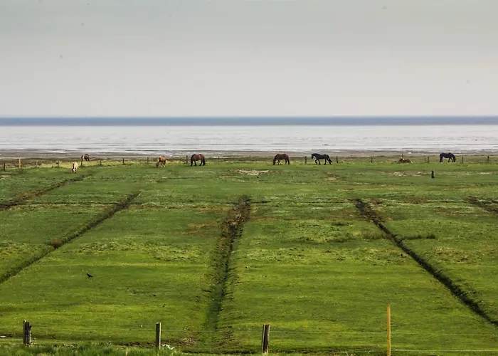 Reethuus Sued ユイスト